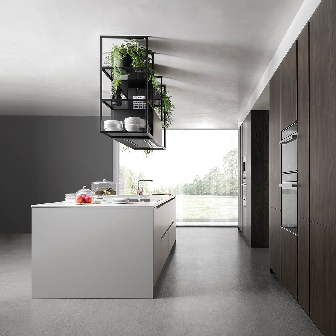 Contacto Salvador Olea